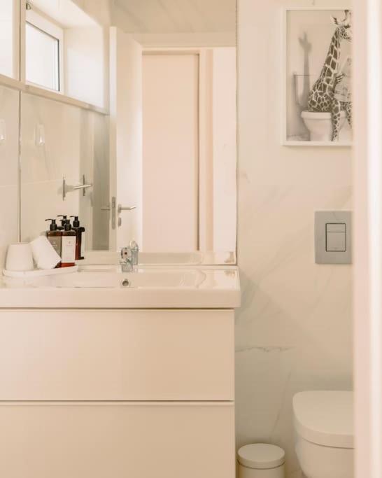 Glam House No Coracao Da Cidade Фару Екстер'єр фото