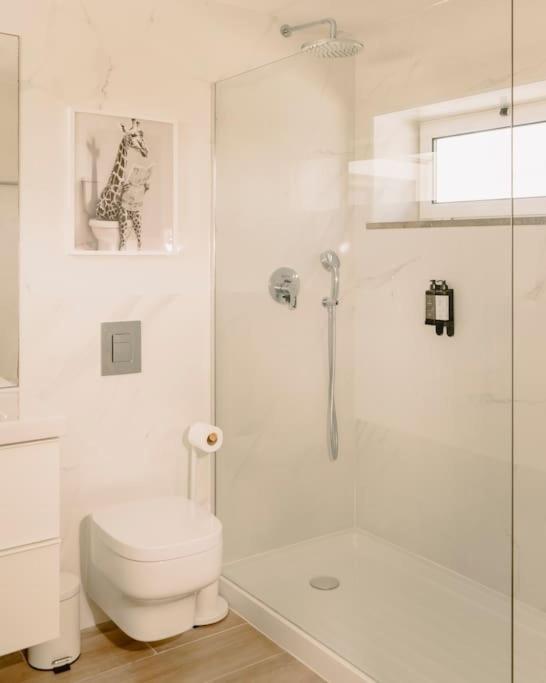 Glam House No Coracao Da Cidade Фару Екстер'єр фото